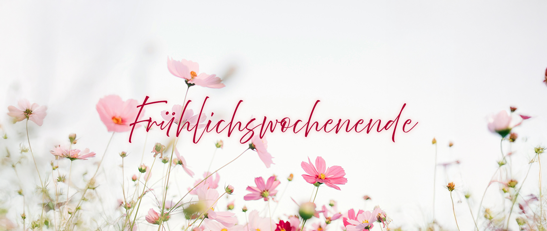 Silhouetten von Menschen, die vor einer blauen Backsteinwand tanzen, überlagert mit dem Text 'Evergreen-Wochenende mit Live-Musik'.