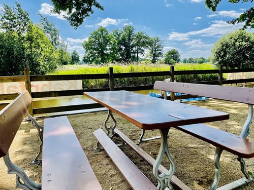 Holzbank und Tisch mit Blick auf eine grüne Wiese und Bäume im Hintergrund.