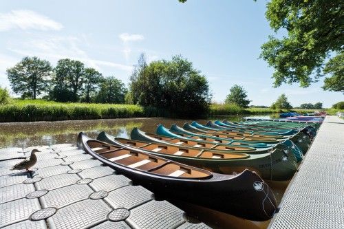 Reihe bunter Kanus auf einem Schwimmponton an einem Flussufer mit Bäumen im Hintergrund und einer Ente am Rand.