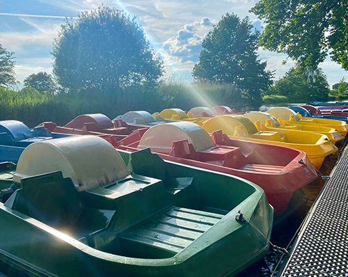 Reihe bunter Tretboote an einem sonnigen Tag, mit Bäumen im Hintergrund.